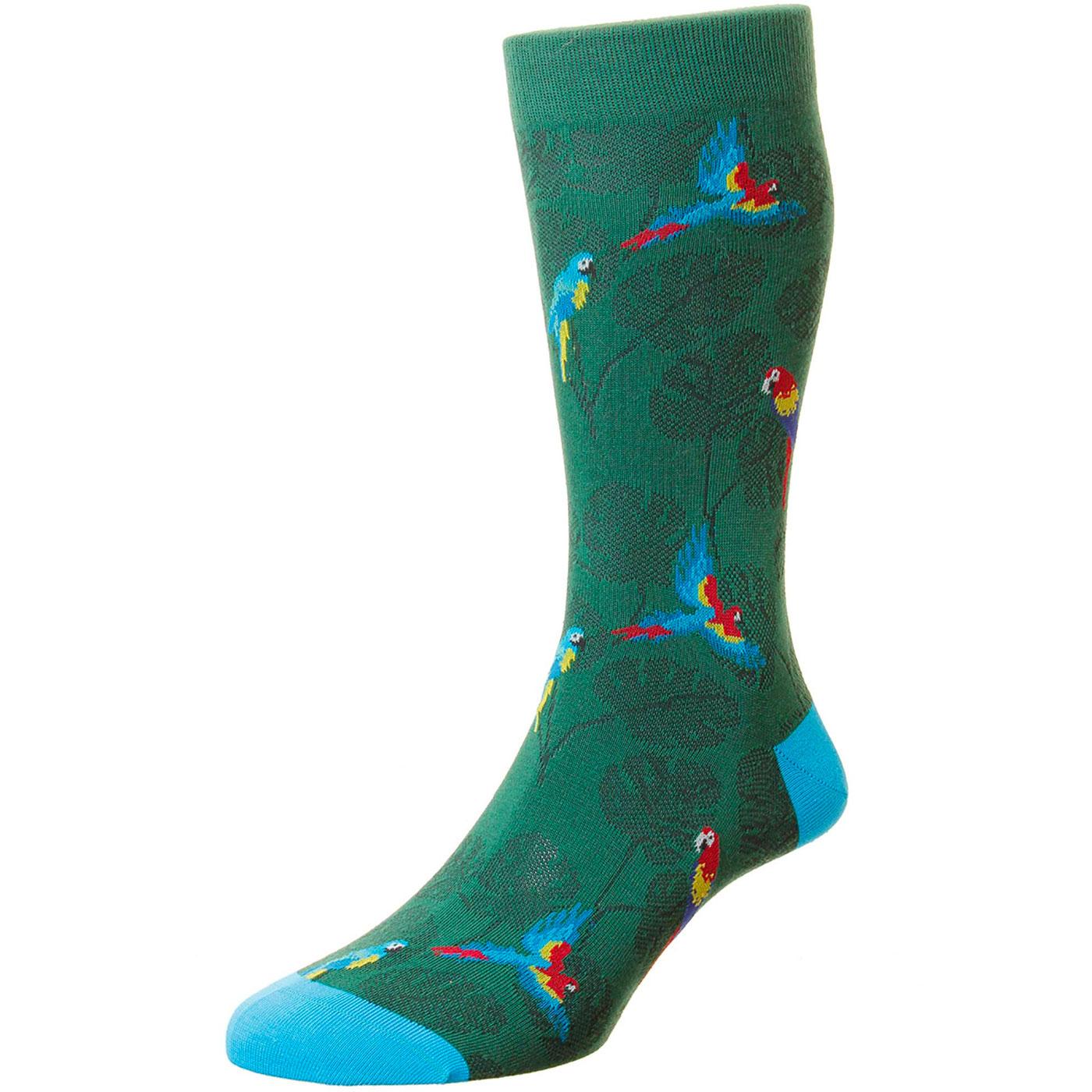 + Macaw SCOTT-NICHOL Made in England Parrot Socks
