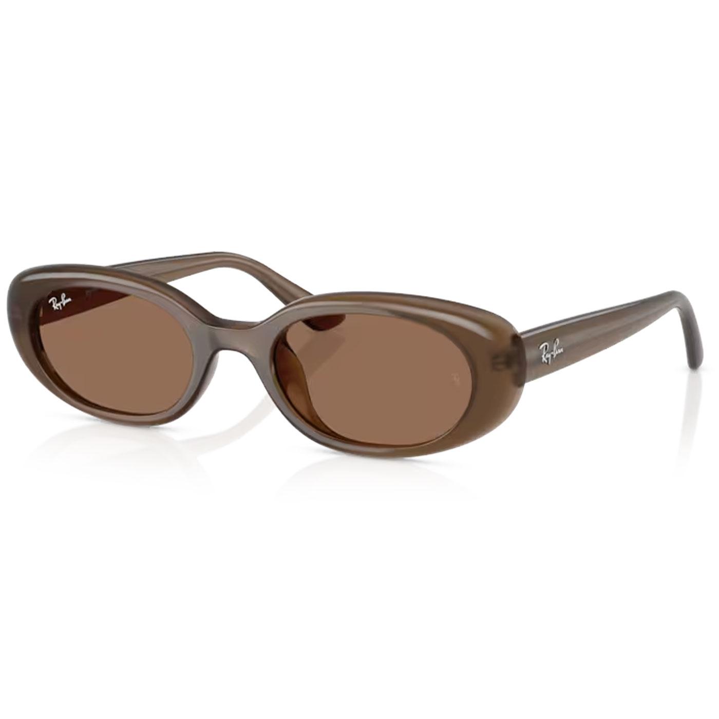 Ray-Ban Womens Retro 60s Bug-Eye Sunglasses Brown