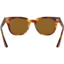 Meteor RAY-BAN Retro Wayfarer Sunglasses in Havana
