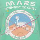 Mission To Mars ALPHA INDUSTRIES Sweater MINT