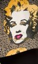 Annie ANDY WARHOL Retro 50s Marilyn Monroe Dress