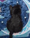 Starry Night IRREGULAR CHOICE Cat In The Moon Bag