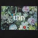 LEVI'S Men's Retro Lotus Serif Logo Tee (Black)