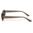 Ray-Ban Womens Retro 60s Bug-Eye Sunglasses Brown