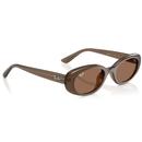Ray-Ban Womens Retro 60s Bug-Eye Sunglasses Brown