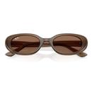 Ray-Ban Womens Retro 60s Bug-Eye Sunglasses Brown