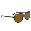 Ray-Ban Bill One Retro Aviator Sunglasses (Havana)