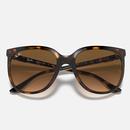 Cats 1000 RAY-BAN 70s Wayfarer Sunglasses LH