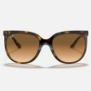 Cats 1000 RAY-BAN 70s Wayfarer Sunglasses LH