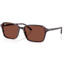 Raimond Ray-Ban Retro 60s Colour Pop Sunglasses V