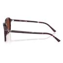 Raimond Ray-Ban Retro 60s Colour Pop Sunglasses V