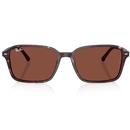 Ray-Ban Icons Raimond Square Sunglasses in Violet/Red RB2231 1416C5