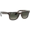 RAY-BAN Stripped Brow Bar Wayfarer Sunglasses (Br)