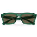 Warren RAY-BAN Bio-Based Retro 50s Sunglasses TG