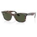 Ray-Ban Original Wayfarer Change Sunglasses (PSG)