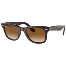 Ray-Ban Wayfarers in Tortoise with Clear Gradient Brown Lens RB2140 902-51