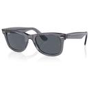 Ray-Ban Original Wayfarer Sunglasses in Transparent Grey Special Edition RB2140 6773R5